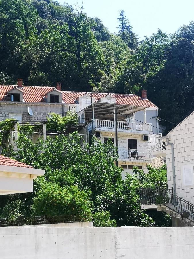 Apartment House Of Artichoke With Amazing Sea View, Dubrovnik Mokosica Exterior photo